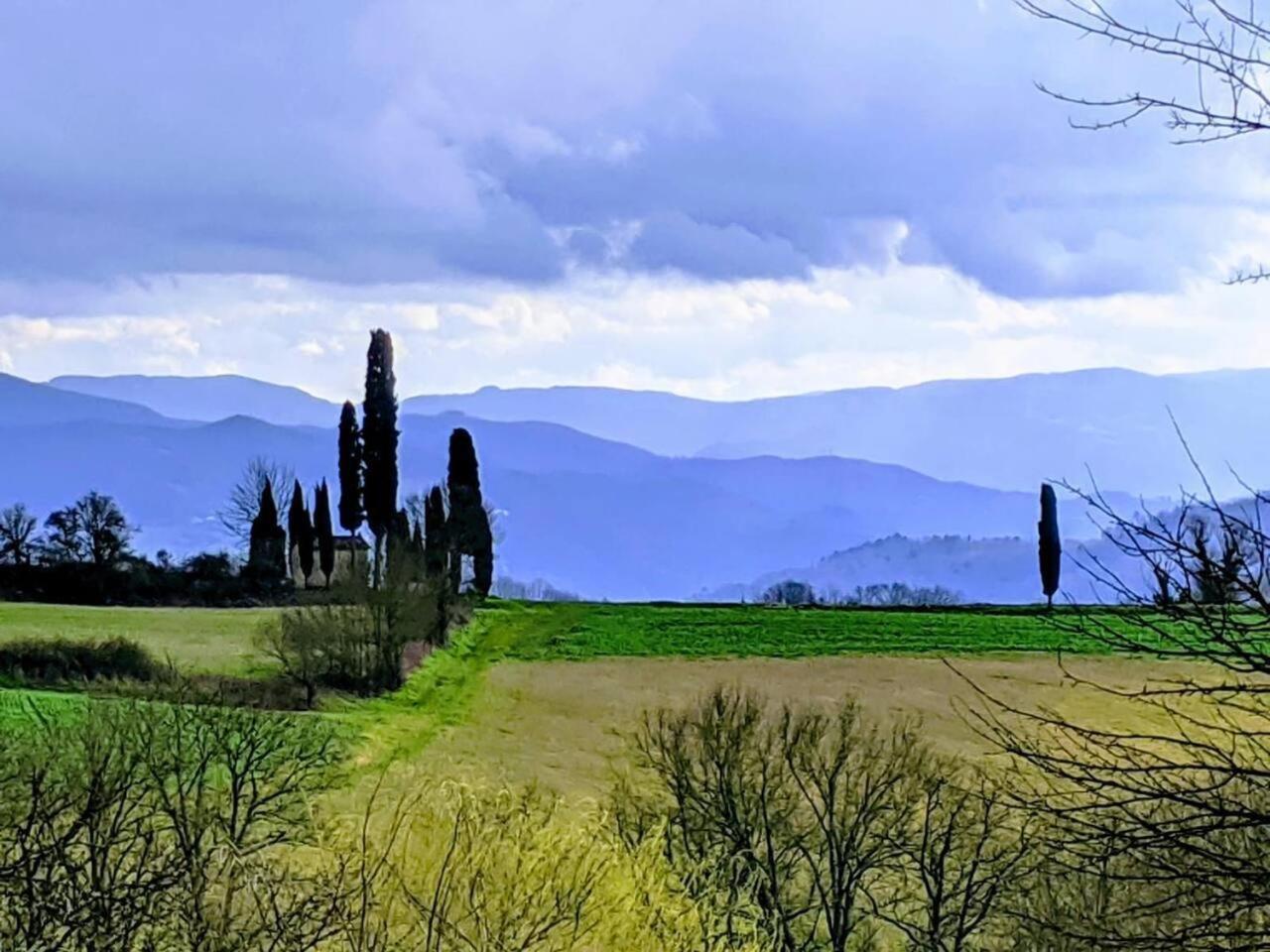ויקיו Tuscan Hills Near Florence - Stone House מראה חיצוני תמונה
